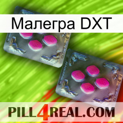 Малегра DXT 01